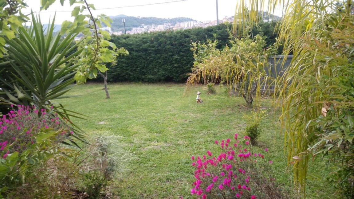 Costa Blu Bed & Breakfast Agropoli Luaran gambar